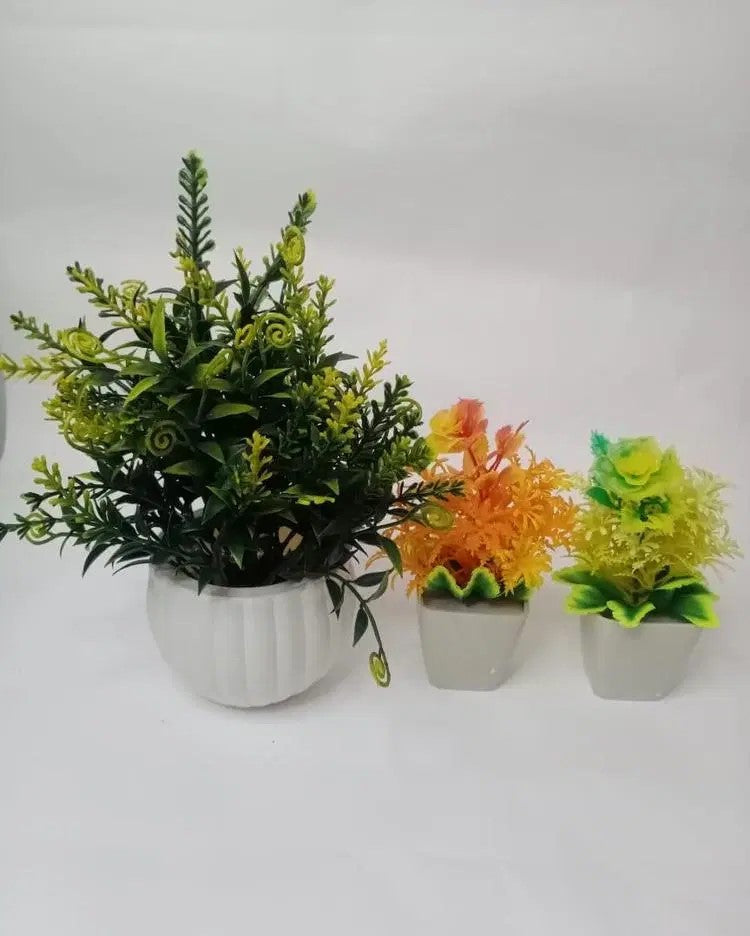 Artificial Ceramic Plant With Mini Plants Pack Of 3